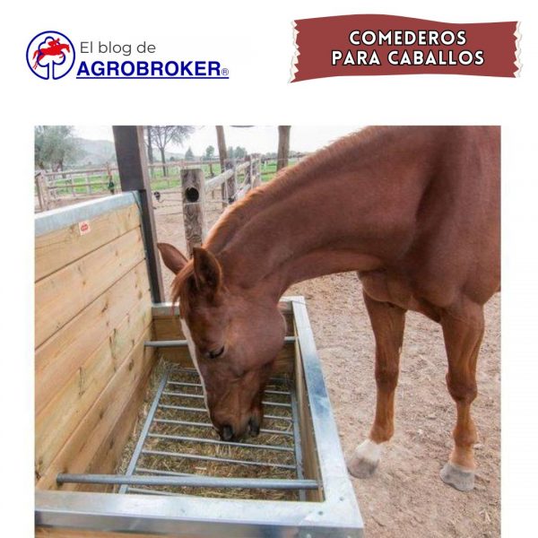 comedero para caballos