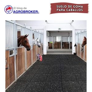 SUELO DE GOMA PARA CABALLOS